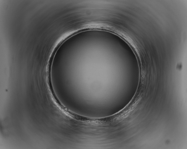 X0000101161045200806271005
