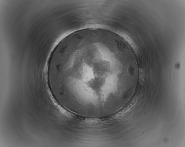 X0000101161046200806271005