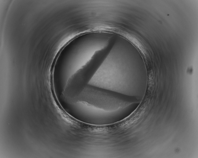 X0000101161047200806271005