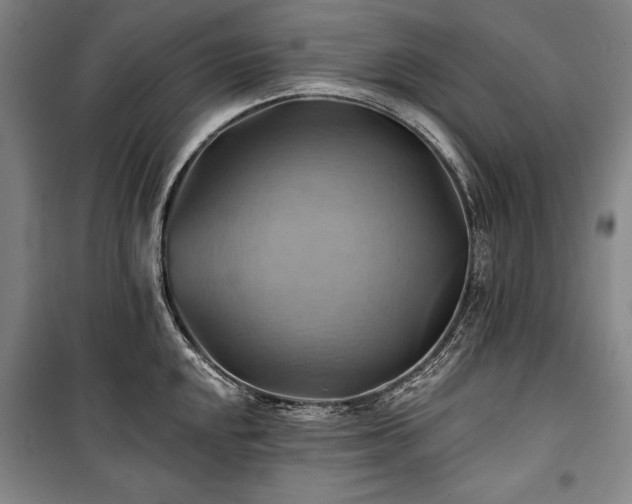 X0000101161048200806271005