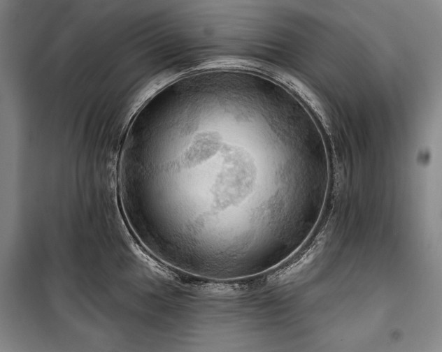 X0000101161049200806271005