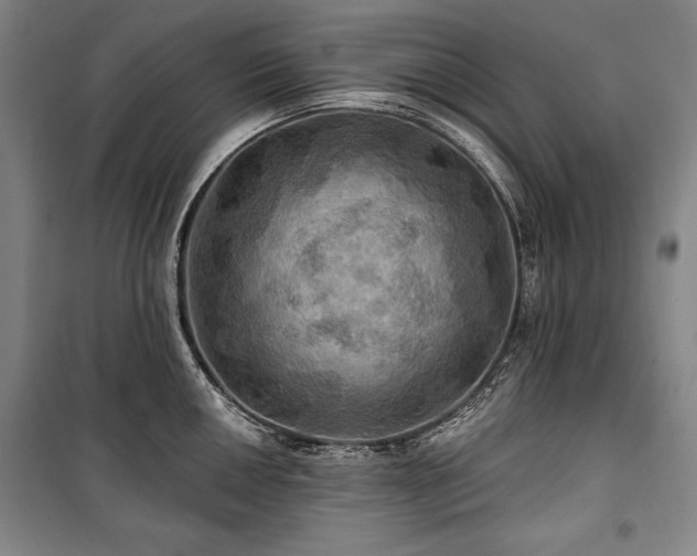 X0000101161050200806271005