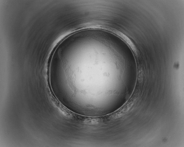 X0000101161051200806271005