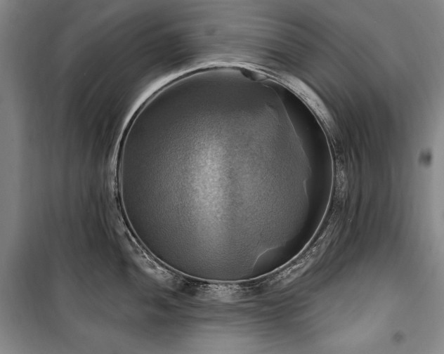 X0000101161052200806271005