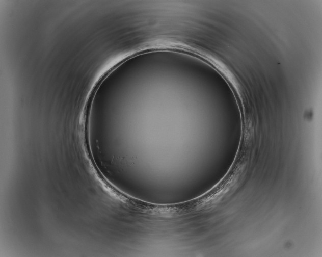 X0000101161053200806271005