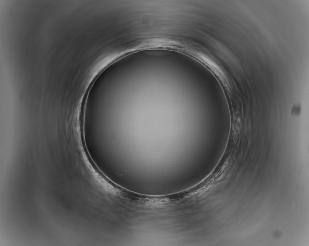 X0000101161055200806271005
