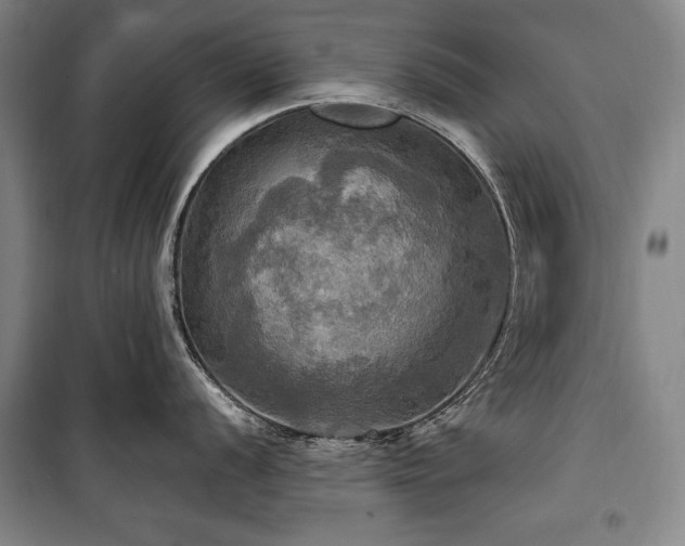 X0000101161056200806271005