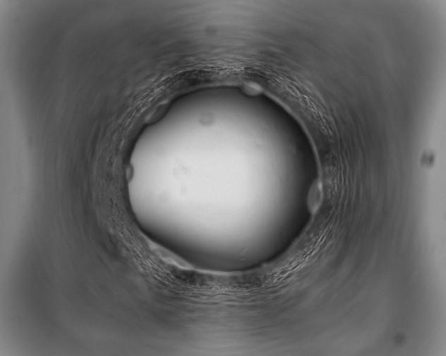 X0000101161057200806271004