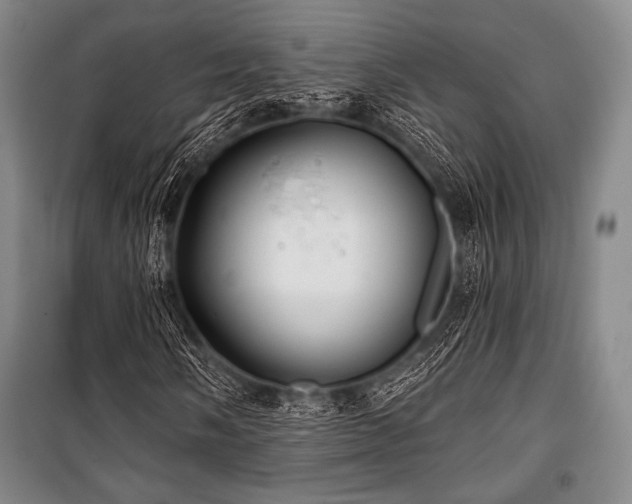 X0000101161058200806271004