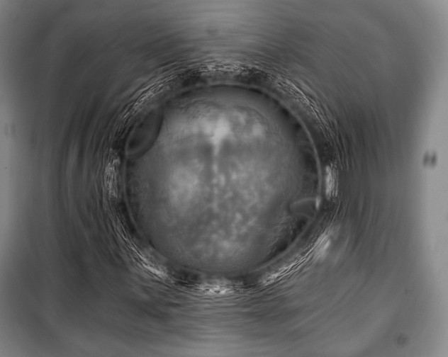 X0000101161059200806271004