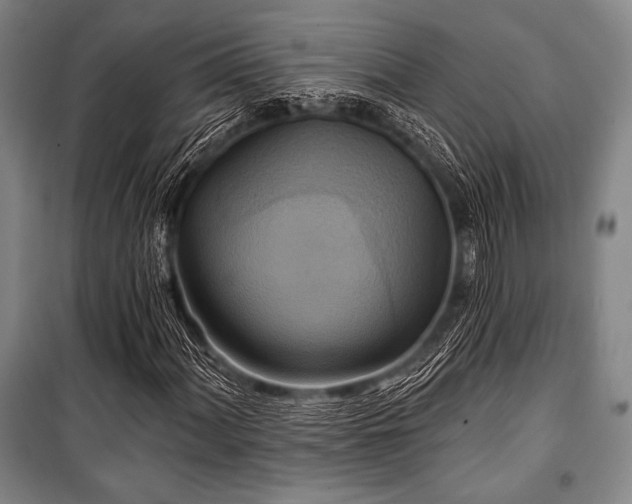 X0000101161060200806271004