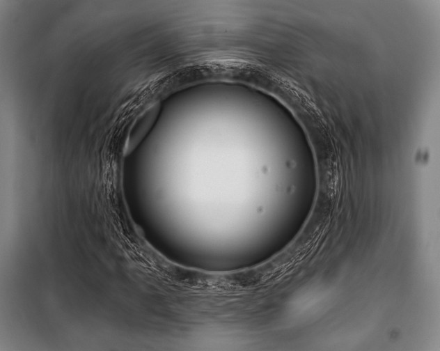 X0000101161061200806271004