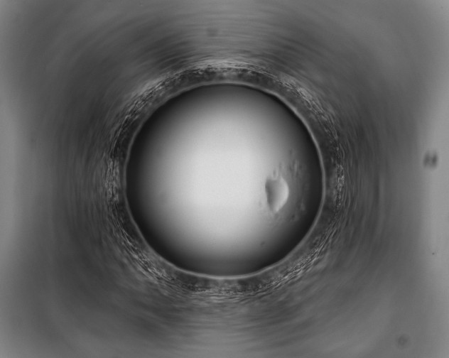 X0000101161062200806271004
