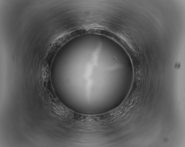 X0000101161063200806271004