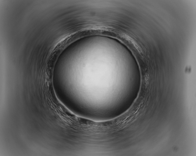 X0000101161064200806271004