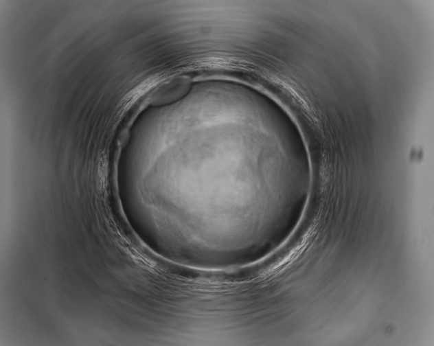 X0000101161065200806271004