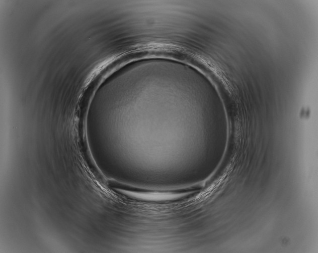X0000101161066200806271004