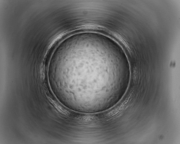 X0000101161067200806271004