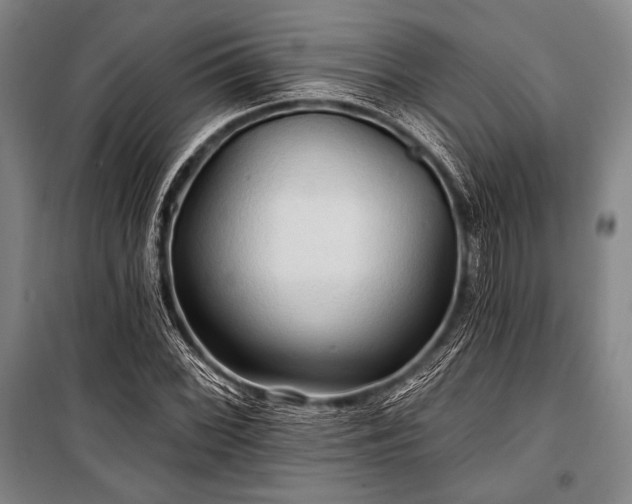 X0000101161068200806271004