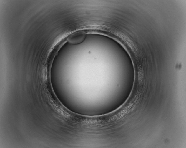X0000101161069200806271004