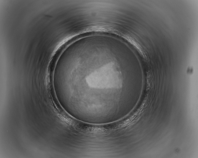 X0000101161070200806271004
