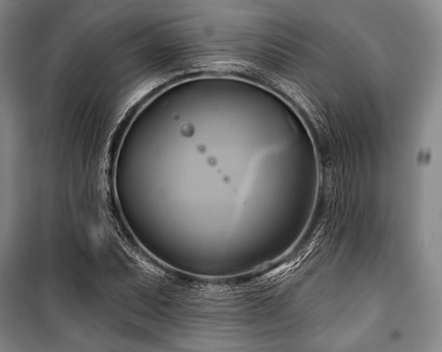 X0000101161071200806271004