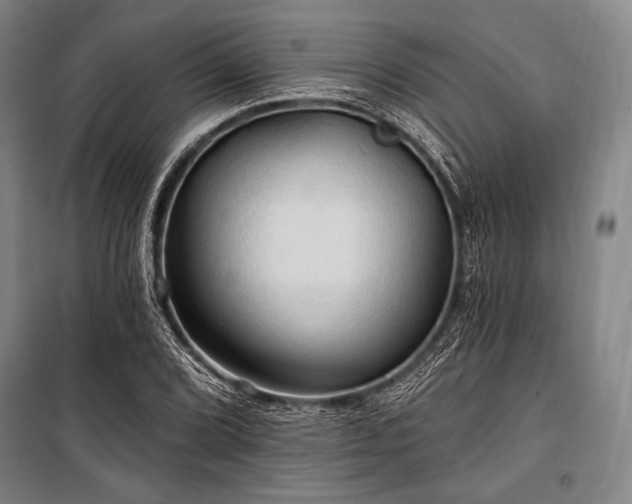 X0000101161072200806271004
