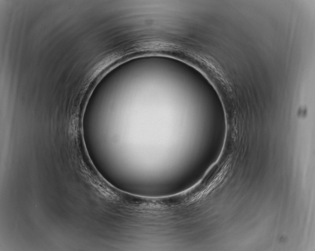 X0000101161073200806271004