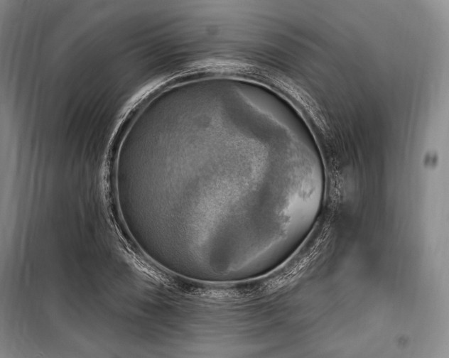 X0000101161074200806271004