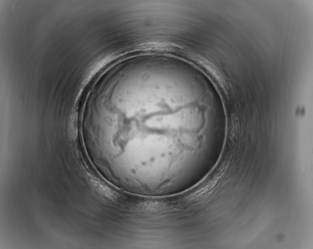 X0000101161075200806271004