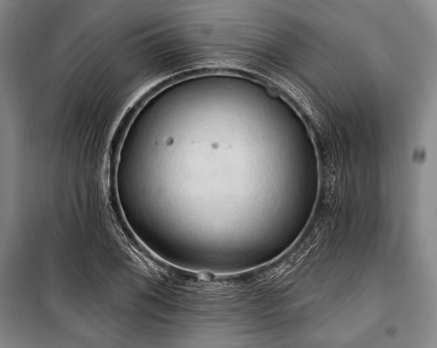 X0000101161076200806271004