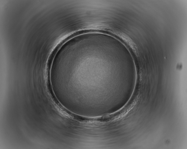X0000101161077200806271004