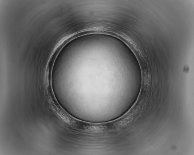 X0000101161078200806271004