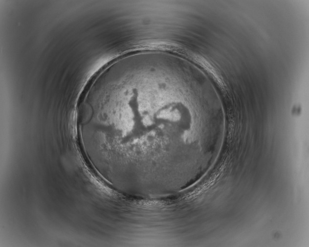 X0000101161079200806271004