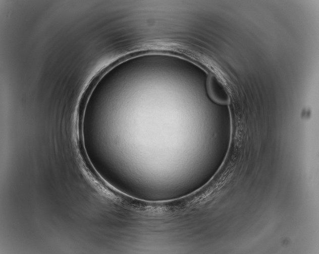 X0000101161080200806271004