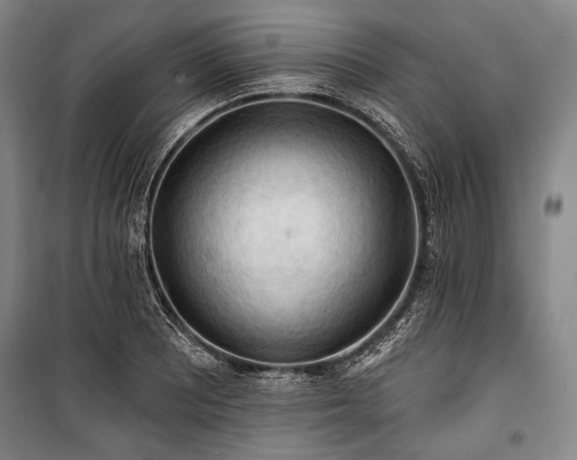 X0000101161081200806271004