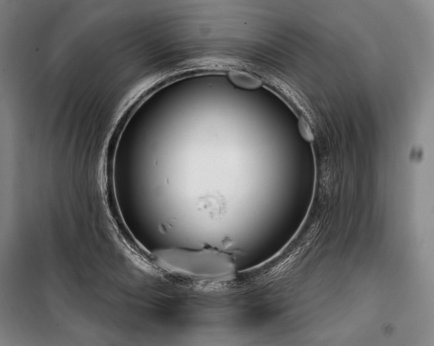 X0000101161082200806271004