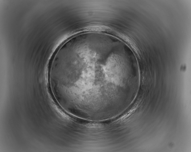 X0000101161083200806271004