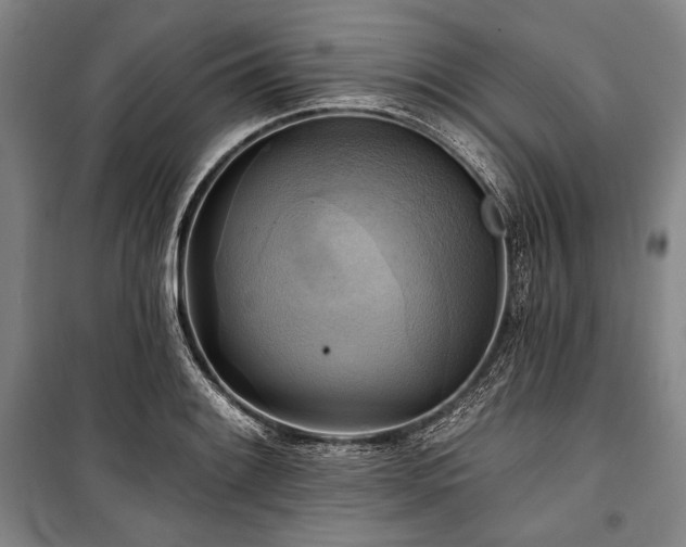 X0000101161084200806271004
