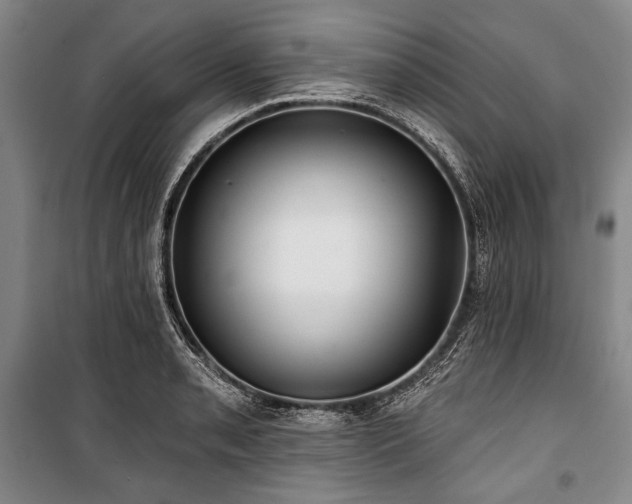 X0000101161085200806271004