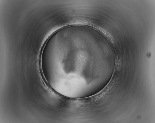 X0000101161086200806271004