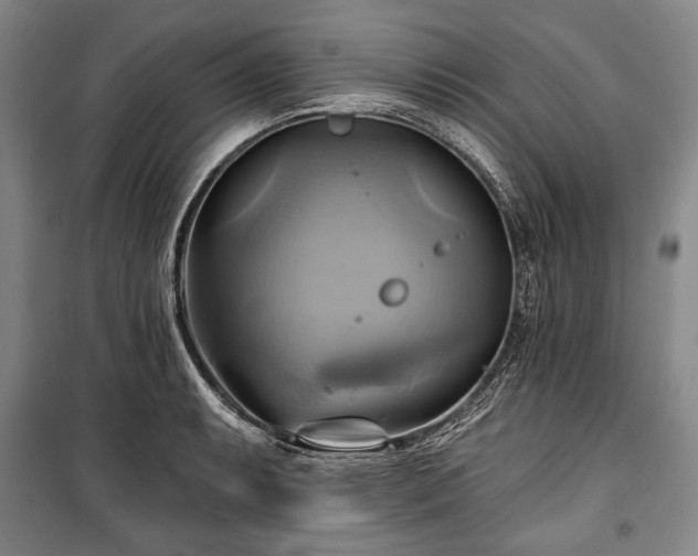 X0000101161087200806271004