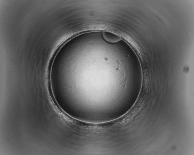 X0000101161088200806271004