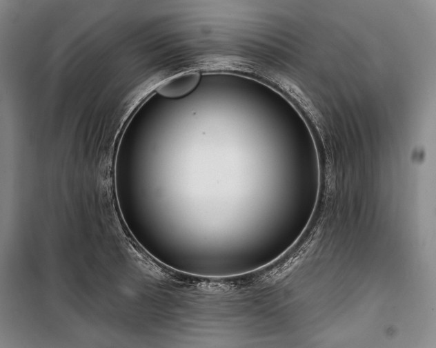 X0000101161089200806271004