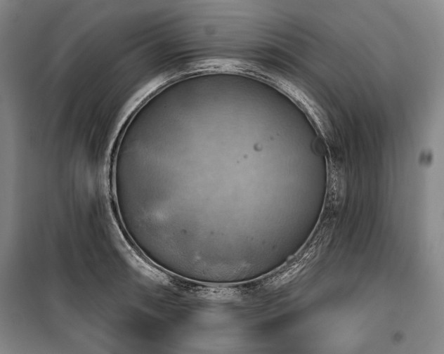 X0000101161090200806271004