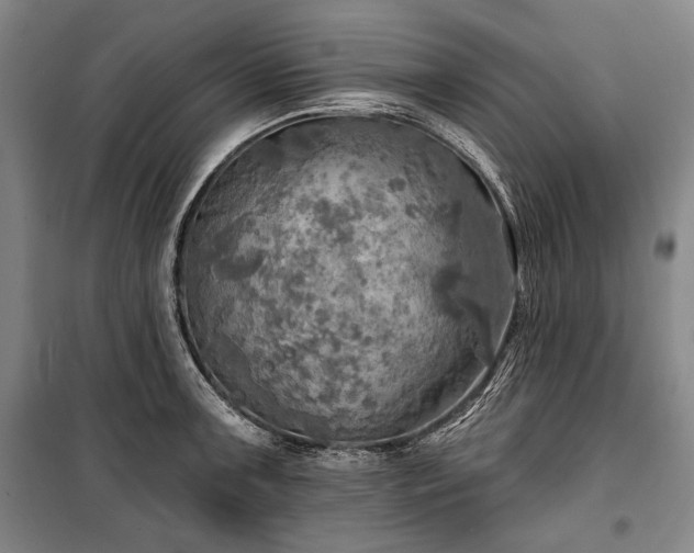 X0000101161091200806271004