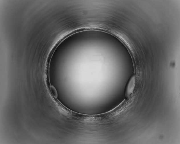 X0000101161093200806271004