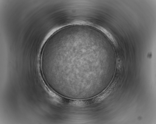 X0000101161094200806271003