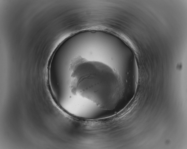 X0000101161095200806271003