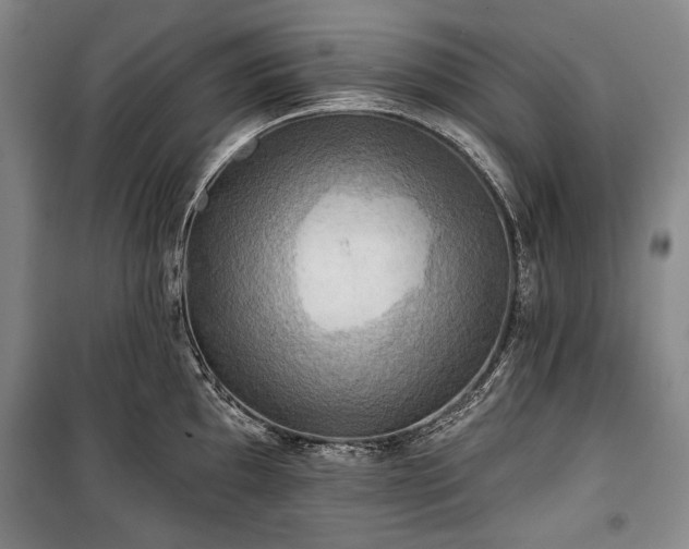 X0000101161097200806271003